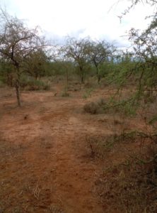 50 Acres of Land – Maili Tisa Kajiado County