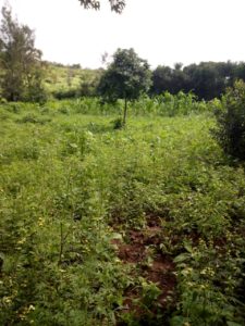 ONE ACRE LAND IN KAREN- HARDY FOR SALE